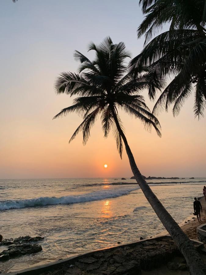 Curry Bowl Restaurant & Turtles Rest فندق مبيت وإفطار هيكادوفا
